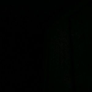 Meet your Posher, Jasmin